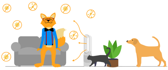 The best air purifiers for allergies