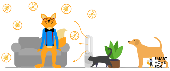 Best air purifier for pets