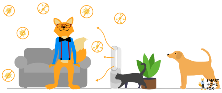 Best air purifier for pets