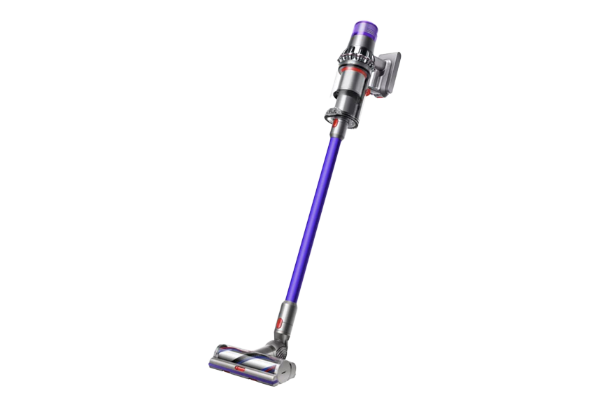The Dyson V11 Animal.