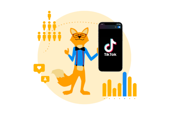 TikTok user statistics